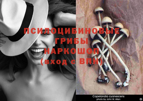 прущая мука Балабаново