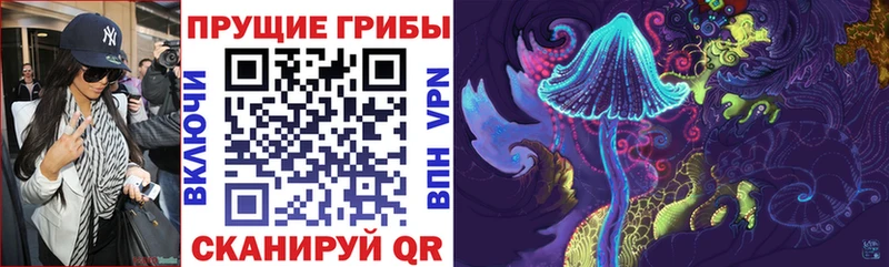 Галлюциногенные грибы Psilocybe маркетплейс как зайти Видное купить наркоту